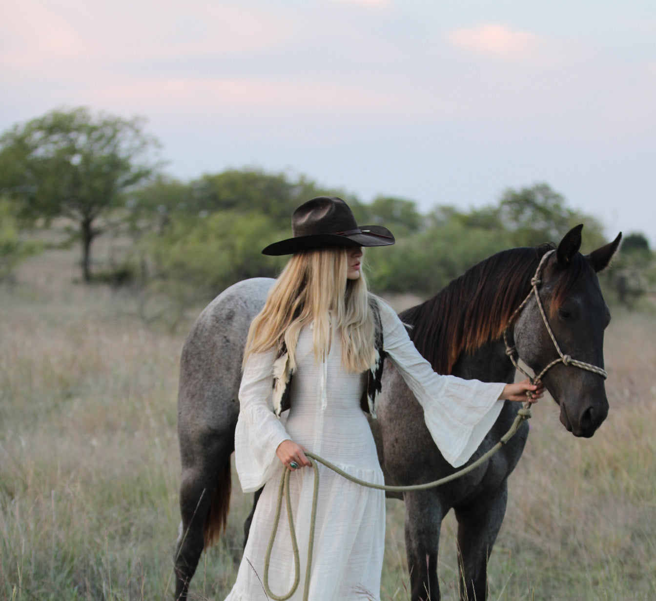 Wild Wild Horses